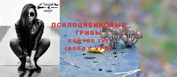 шишки Балахна