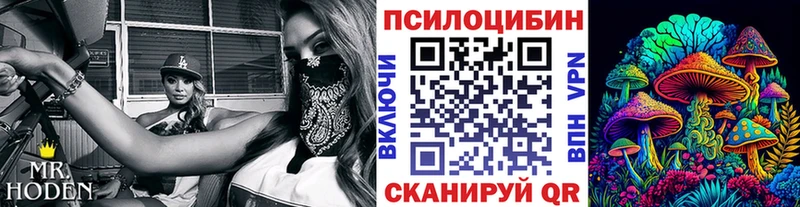 Псилоцибиновые грибы мухоморы  Купить закладки  Гдов 