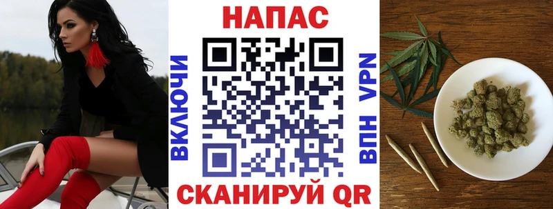 Купить где  Гдов  Каннабис семена 